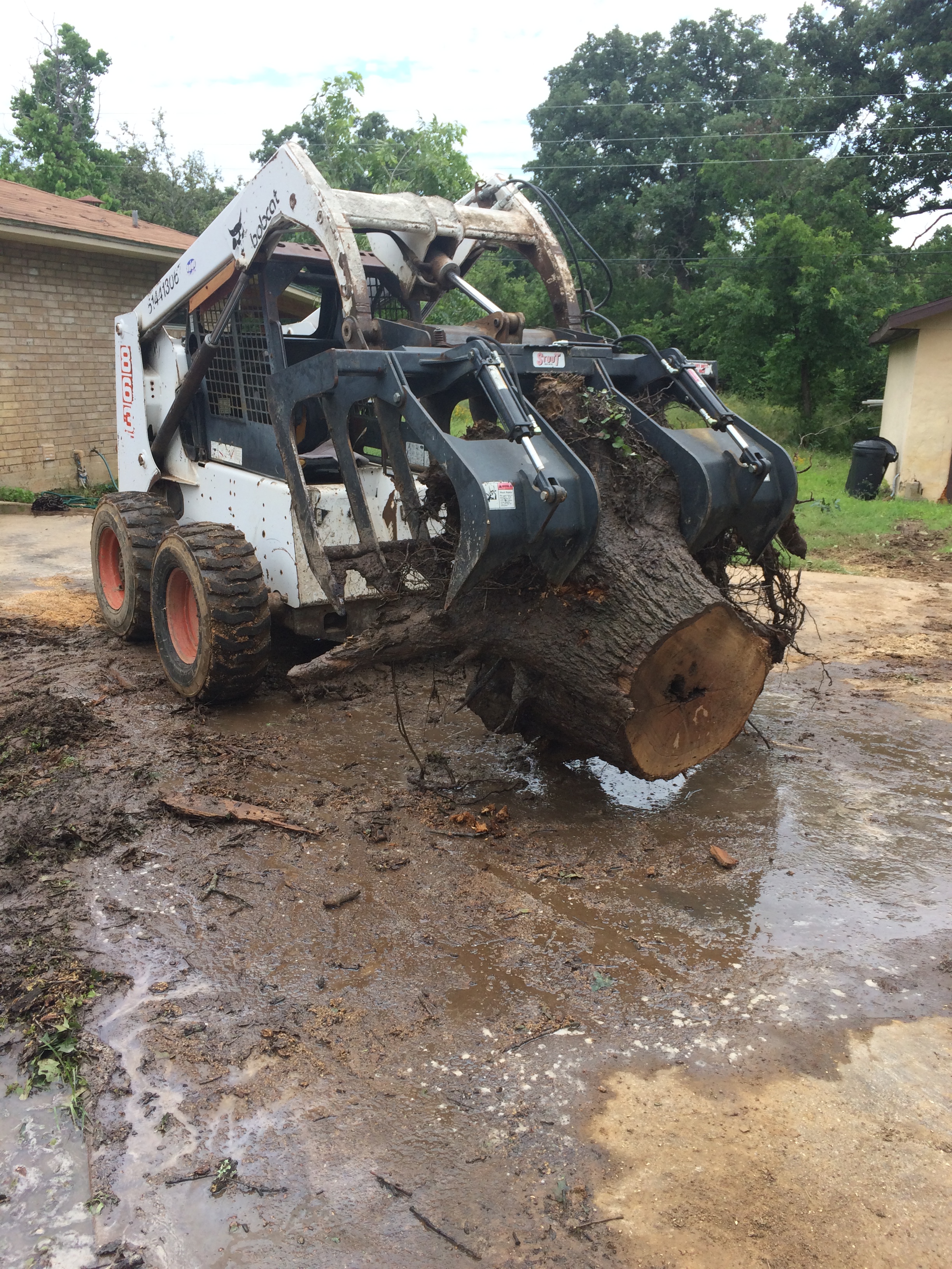 Skid-steer with a root grapple attachment lifting a large cut oak trunk during a land clearing job
