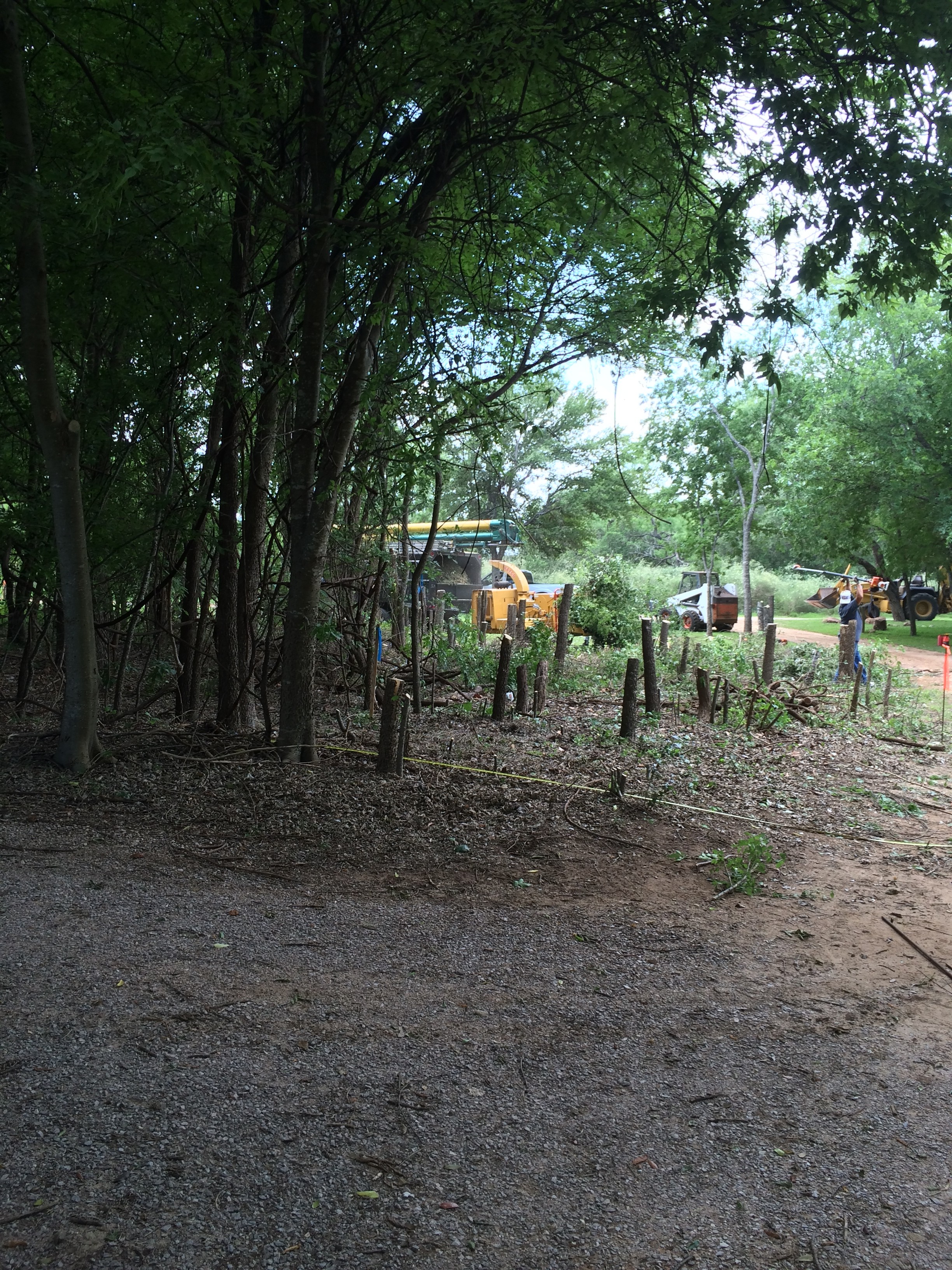 Wooded lot near Kingsland, TX mid-clearing with a wood chipper and skid-steer removing brush