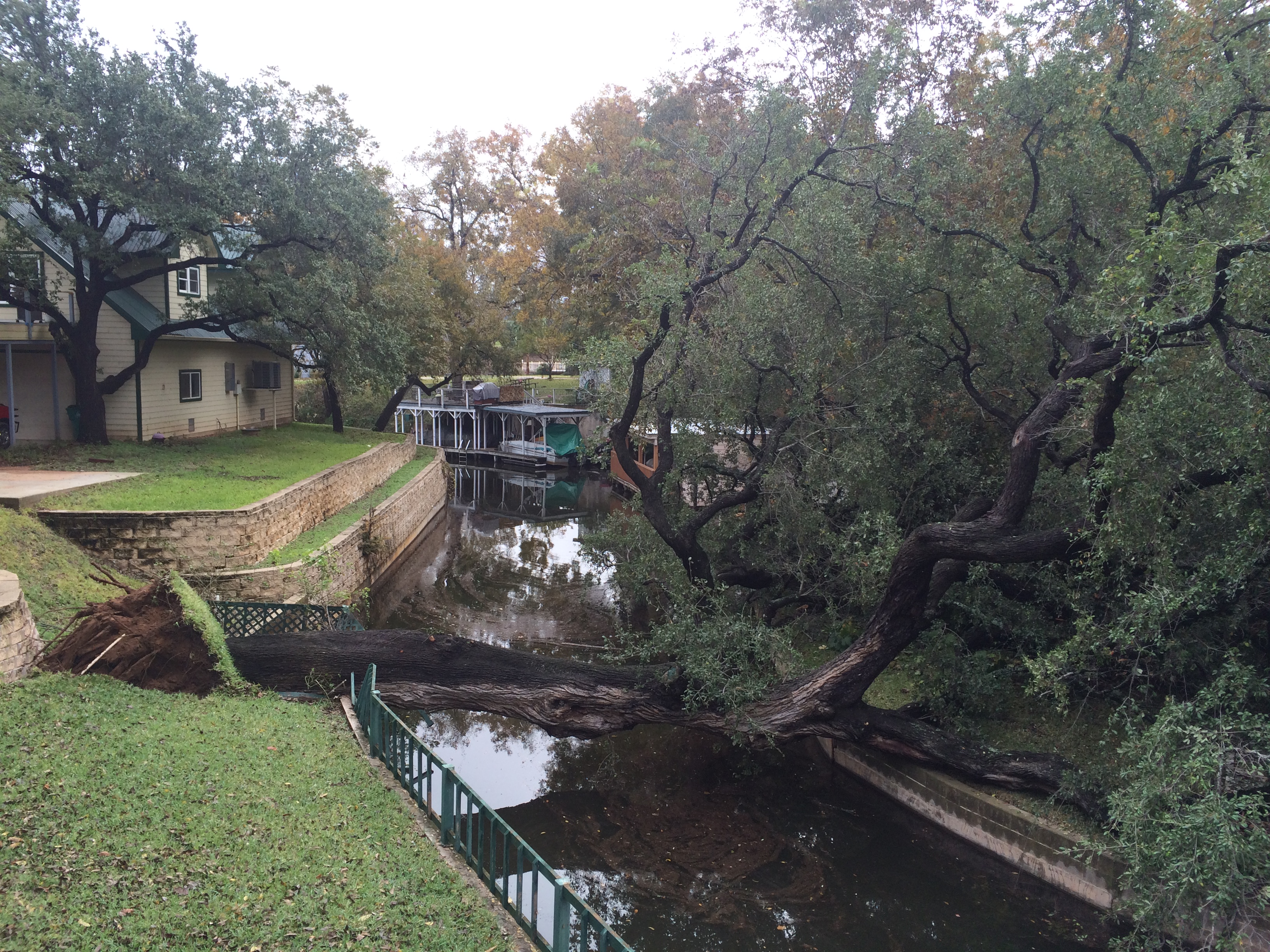 Large storm-fallen oak tree across a canal near a Kingsland, TX home after severe weather