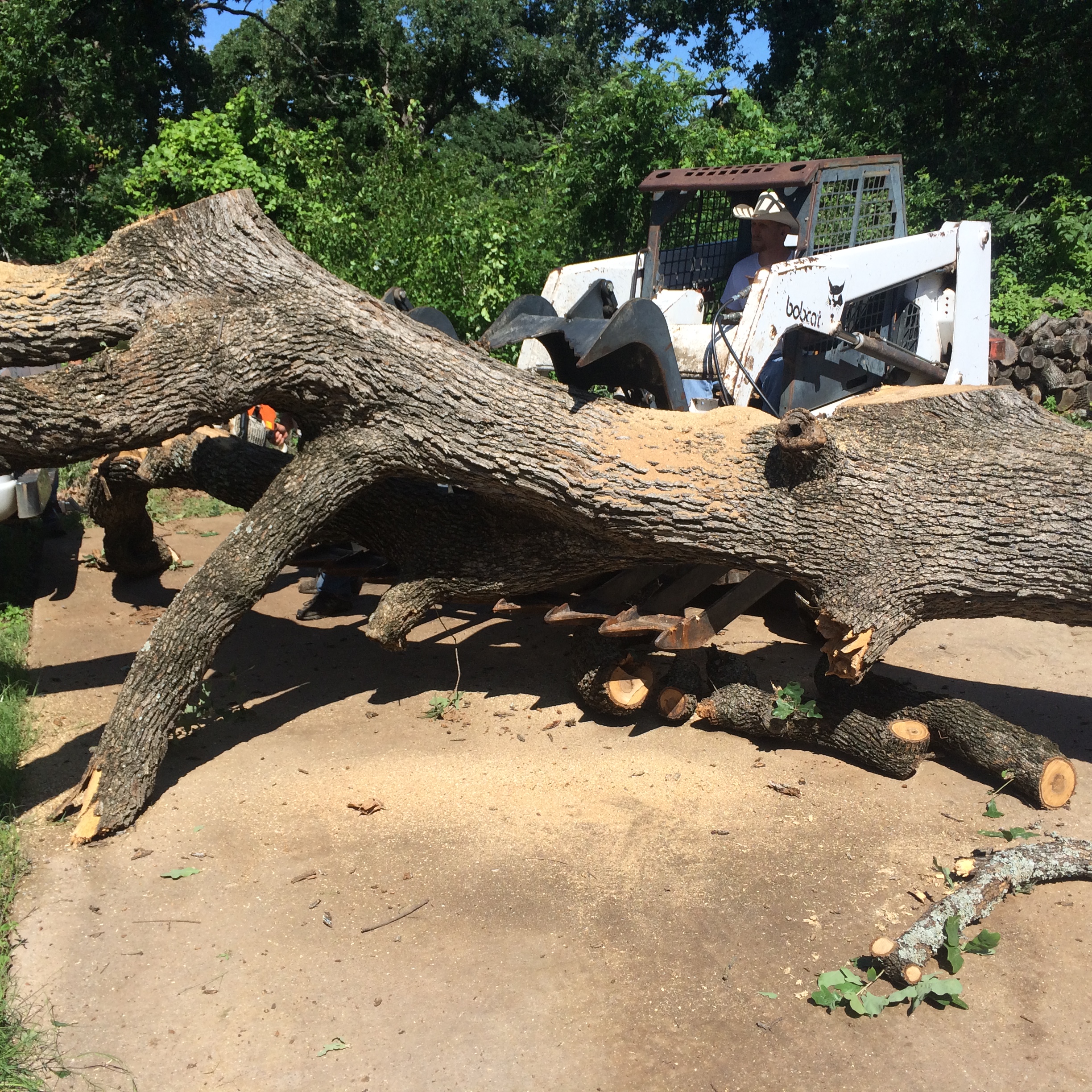 Skid-steer loader moving a felled trunk through a cleared Hill Country lot as a crew member cuts brush nearby