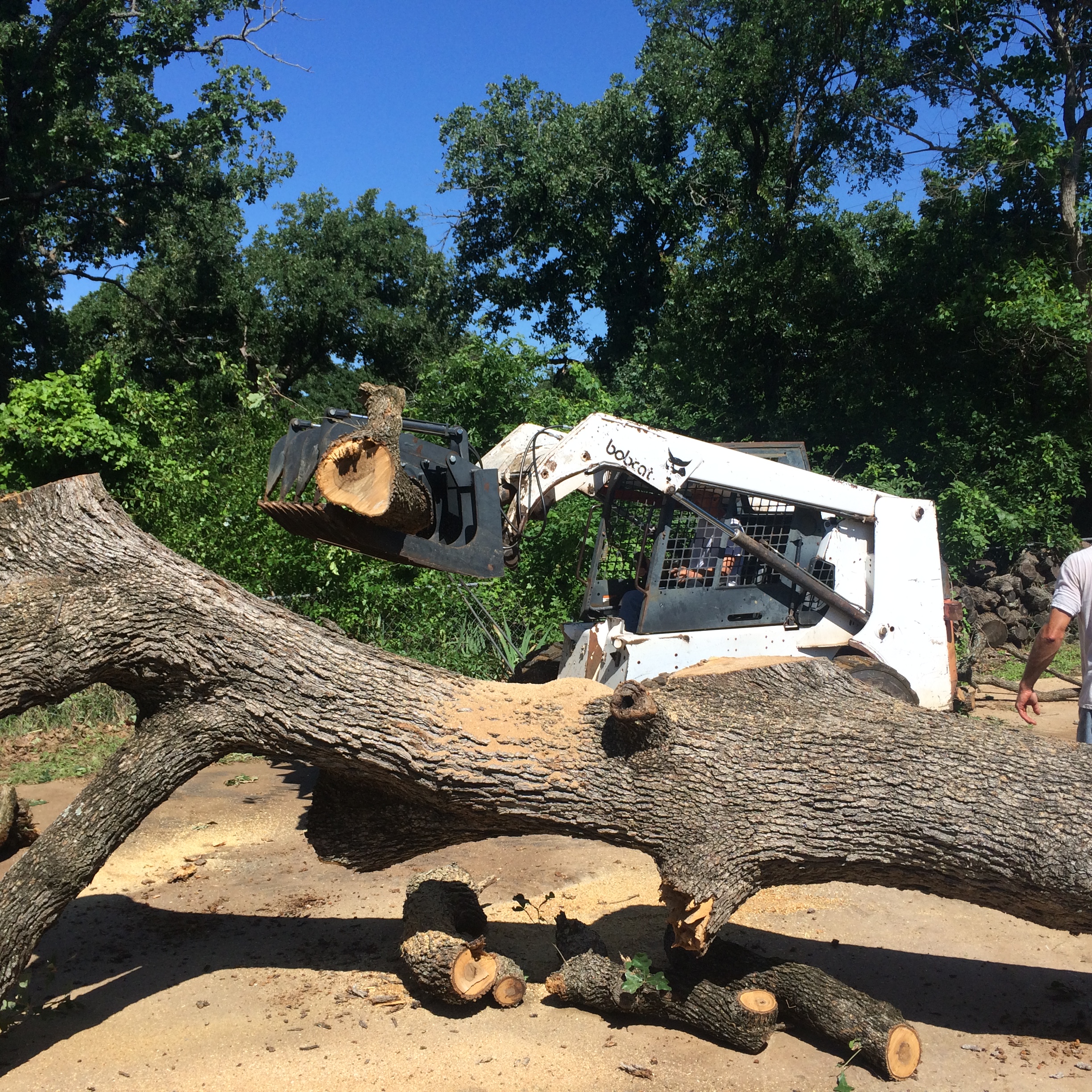 Excavator lifting an uprooted stump and root ball during cedar root removal near Kingsland, TX